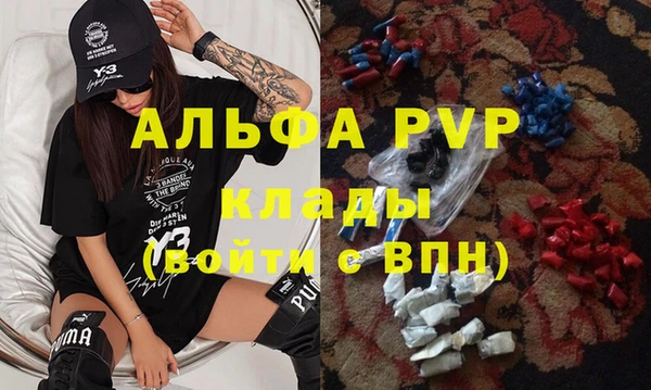 хмурый Арсеньев