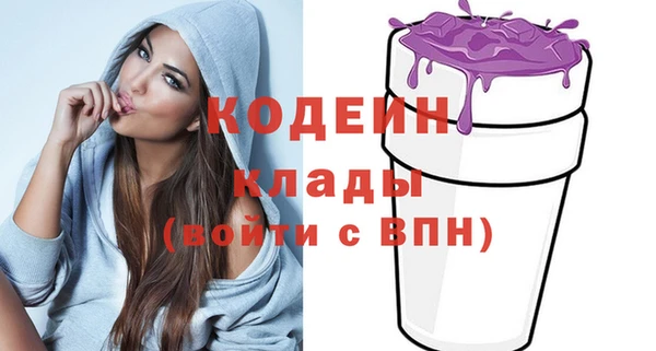 хмурый Арсеньев