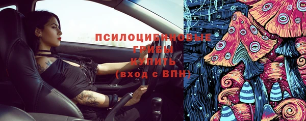 амф Аркадак