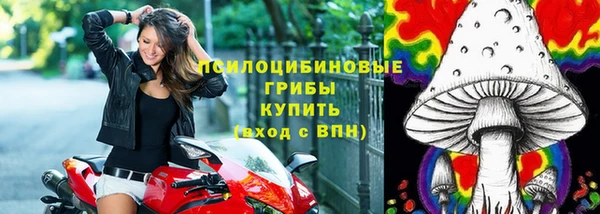 хмурый Арсеньев
