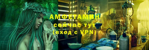 амф Аркадак