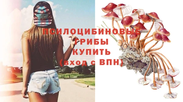 хмурый Арсеньев