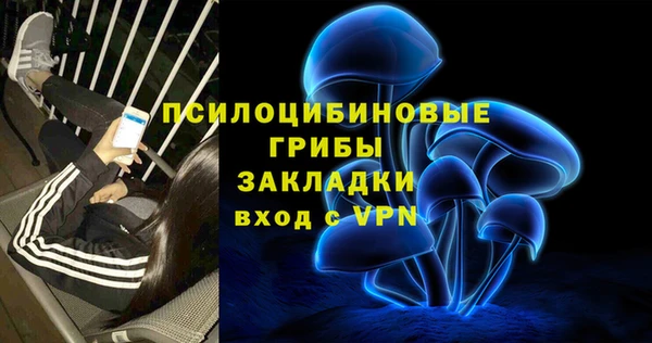 амф Аркадак