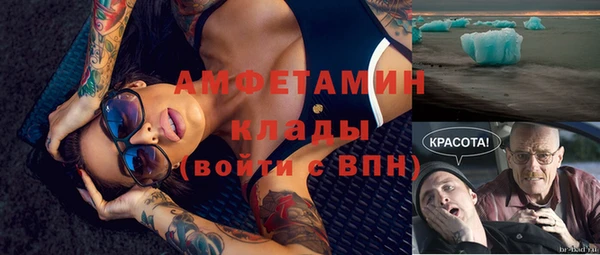 амф Аркадак