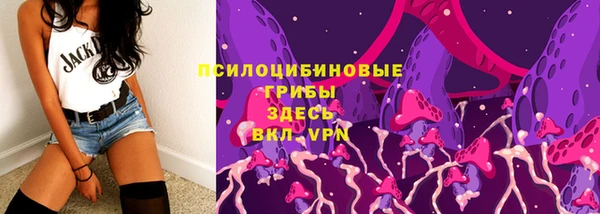 хмурый Арсеньев