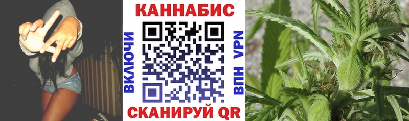 Каннабис MAZAR  Сосенский 
